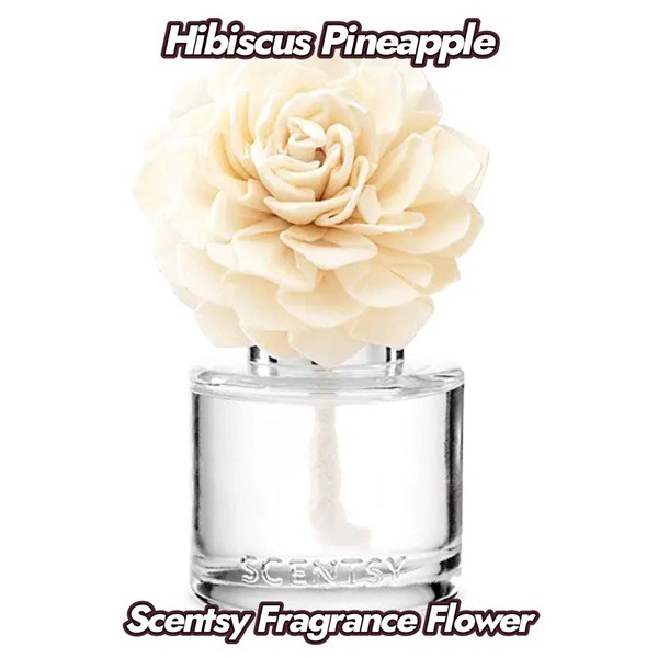 Hibiscus Pineapple Scentsy Fragrance Flower Hibiscus Pineapple Scentsy Fragrance Flower