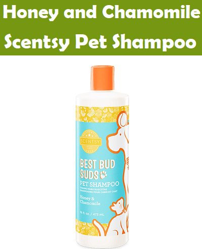 Honey and Chamomile Scentsy Pet Shampoo