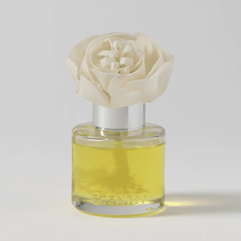 Honeysuckle Dew Scentsy Fragrance Flower Stylized