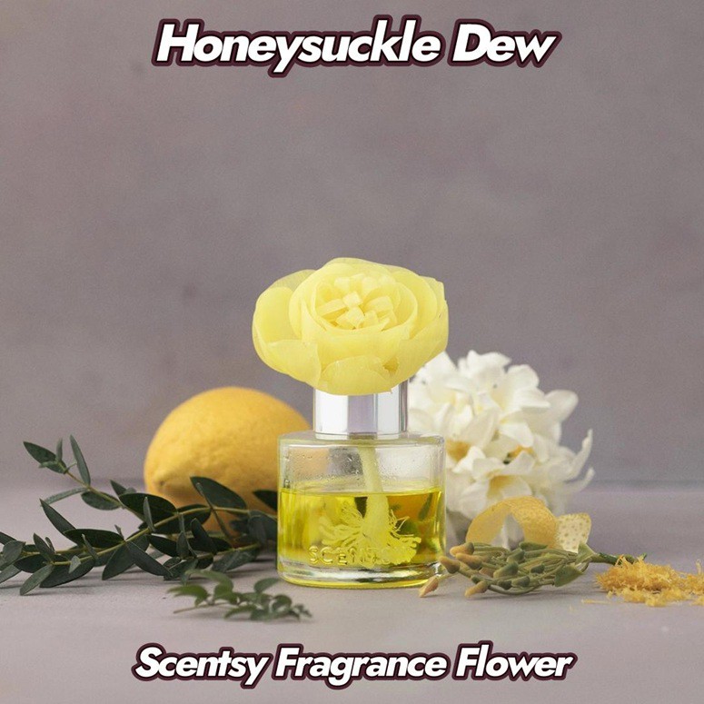 Honeysuckle Dew Scentsy Fragrance Flower