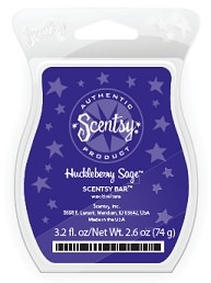 Huckleberry Sage Scentsy Bar - December 2012 Scent Of The Month