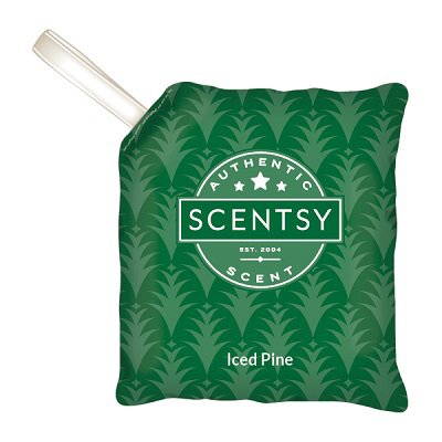 Iced Pine Scentsy Car Bar Stock Image