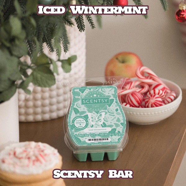 Iced Wintermint Scentsy Bar Iced Wintermint Scentsy Bar