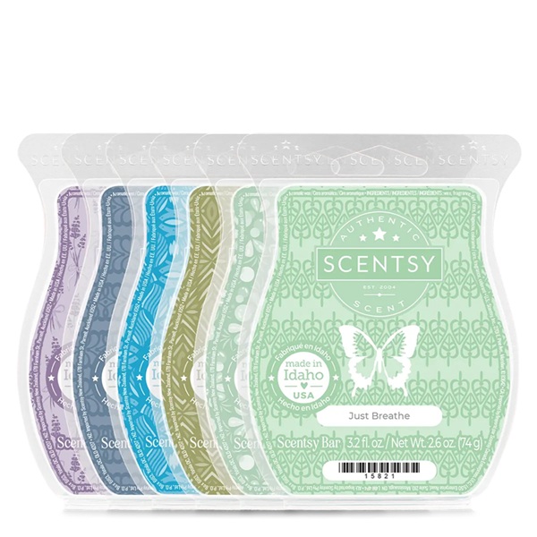 In My Zen Scentsy Bar Bundle In My Zen Scentsy Bar Bundle