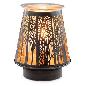 In The Shadows Scentsy Warmer