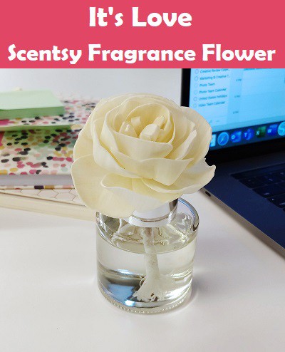 It's Love Scentsy Fragrance Flower