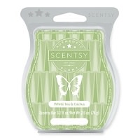 Kiwifruit Scentsy Bar