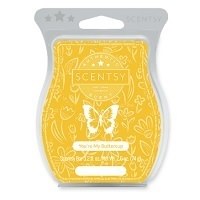 Lemon Sorbet Scentsy Bar