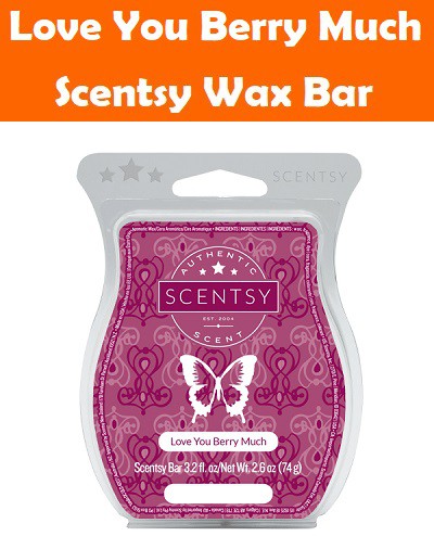 Love You Berry Much Scentsy Bar