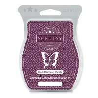 Lucky in Love Scentsy Romance Bar Lucky in Love Scentsy Romance Bar