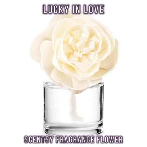 Lucky in Love Scentsy Fragrance Flower