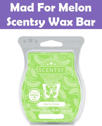 Mad For Melon Scentsy Bar