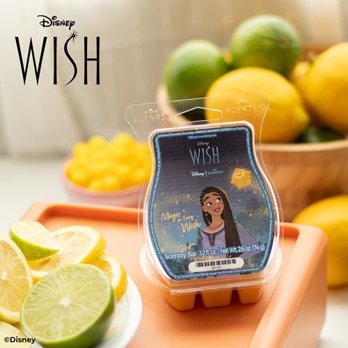 Magic in Every Wish Scentsy Bar