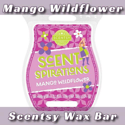 Mango Wildflower Scentsy Bar | Alternate