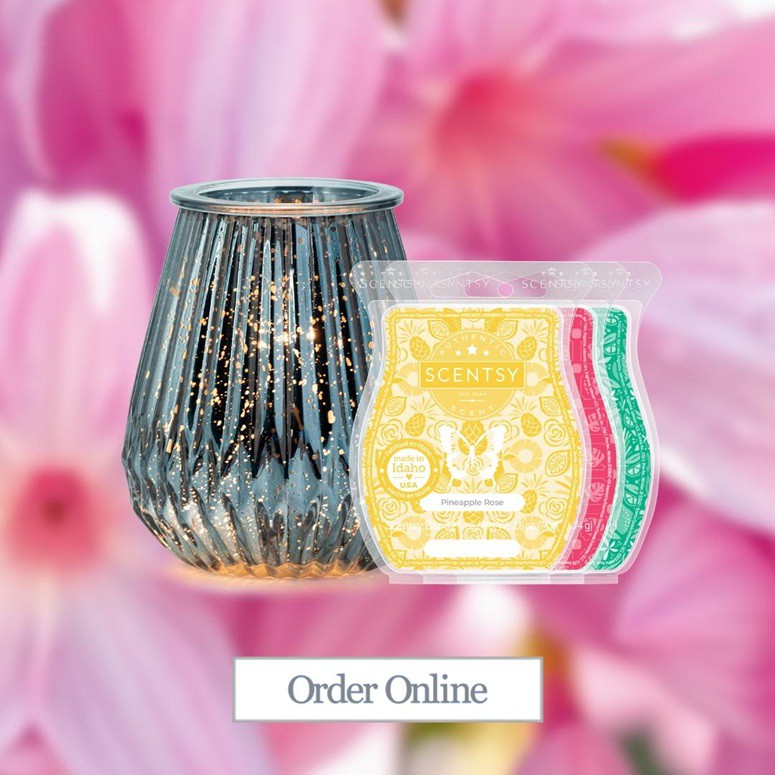 Mediterranean Moonlight Scentsy Bundle