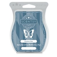 Mystery Man Scentsy Bar Mystery Man Scentsy Bar