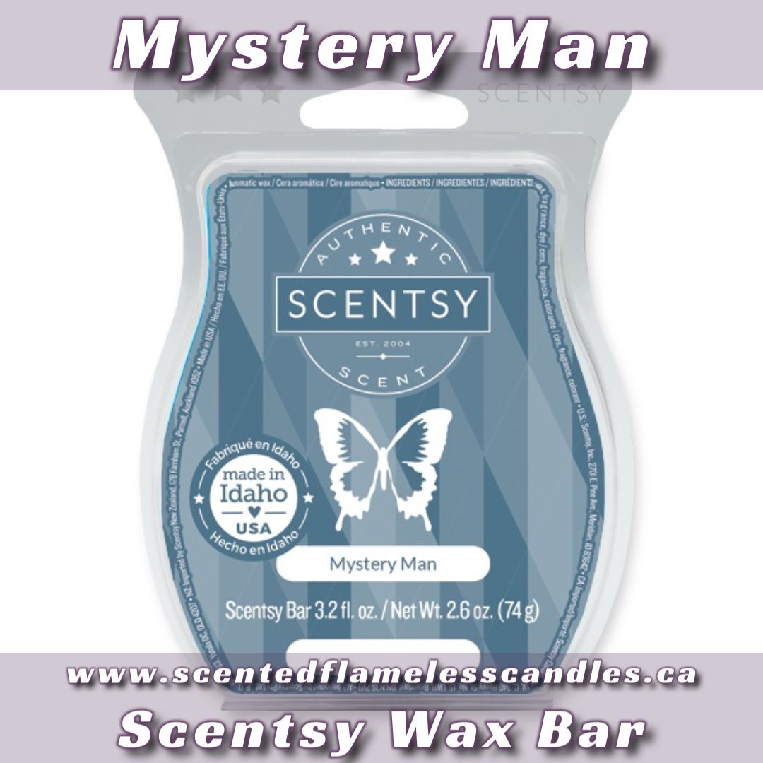 Mystery Man Scentsy Bar