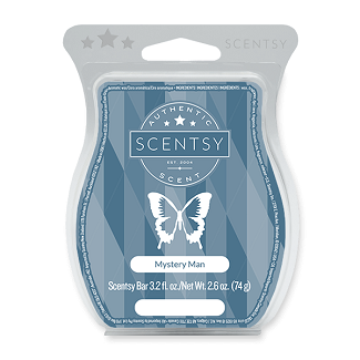 Mystery Man Scentsy Bar Mystery Man Scentsy Bar