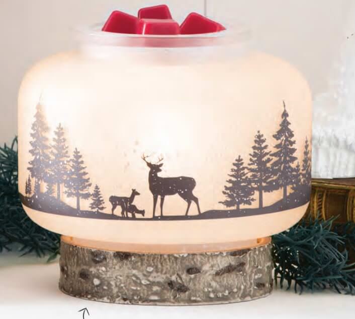 Natural Wonder - December Scentsy Warmer Of The Month.