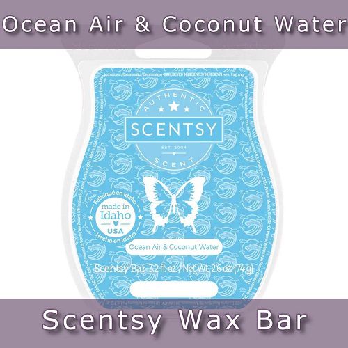 Ocean Air and Coconut Water Scentsy Bar