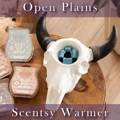 Open Plains Scentsy Warmer | Top View