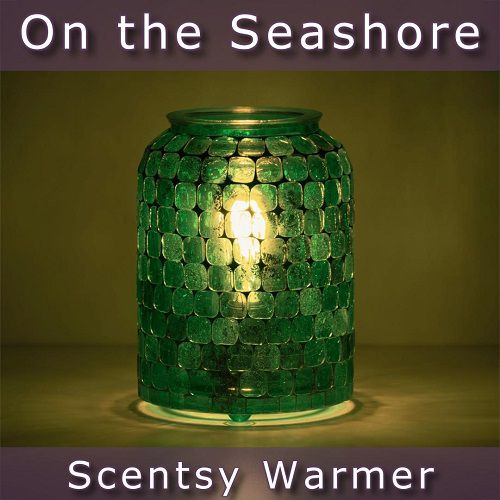 On the Seashore Scentsy Warmer | Dark