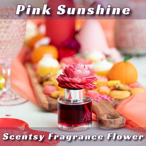 Pink Sunshine Scentsy Fragrance Flower | Staged