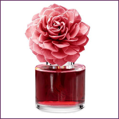 Pink Sunshine Scentsy Fragrance Flower | Stock, Red