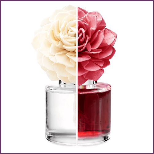 Pink Sunshine Scentsy Fragrance Flower | Stock, Split Color