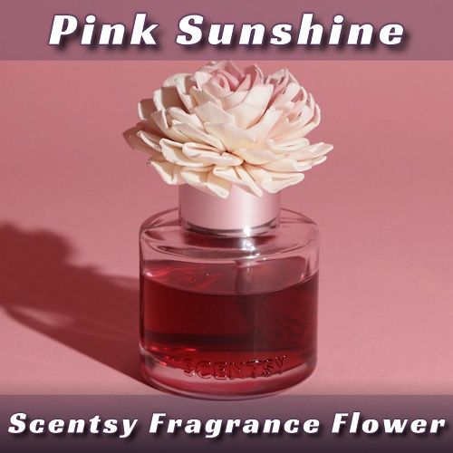 Pink Sunshine Scentsy Fragrance Flower