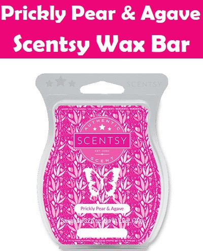 Prickly Pear and Agave Scentsy Bar