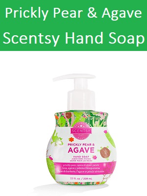Prickly Pear and Agave Scentsy Hand Soap | Tanya Charette