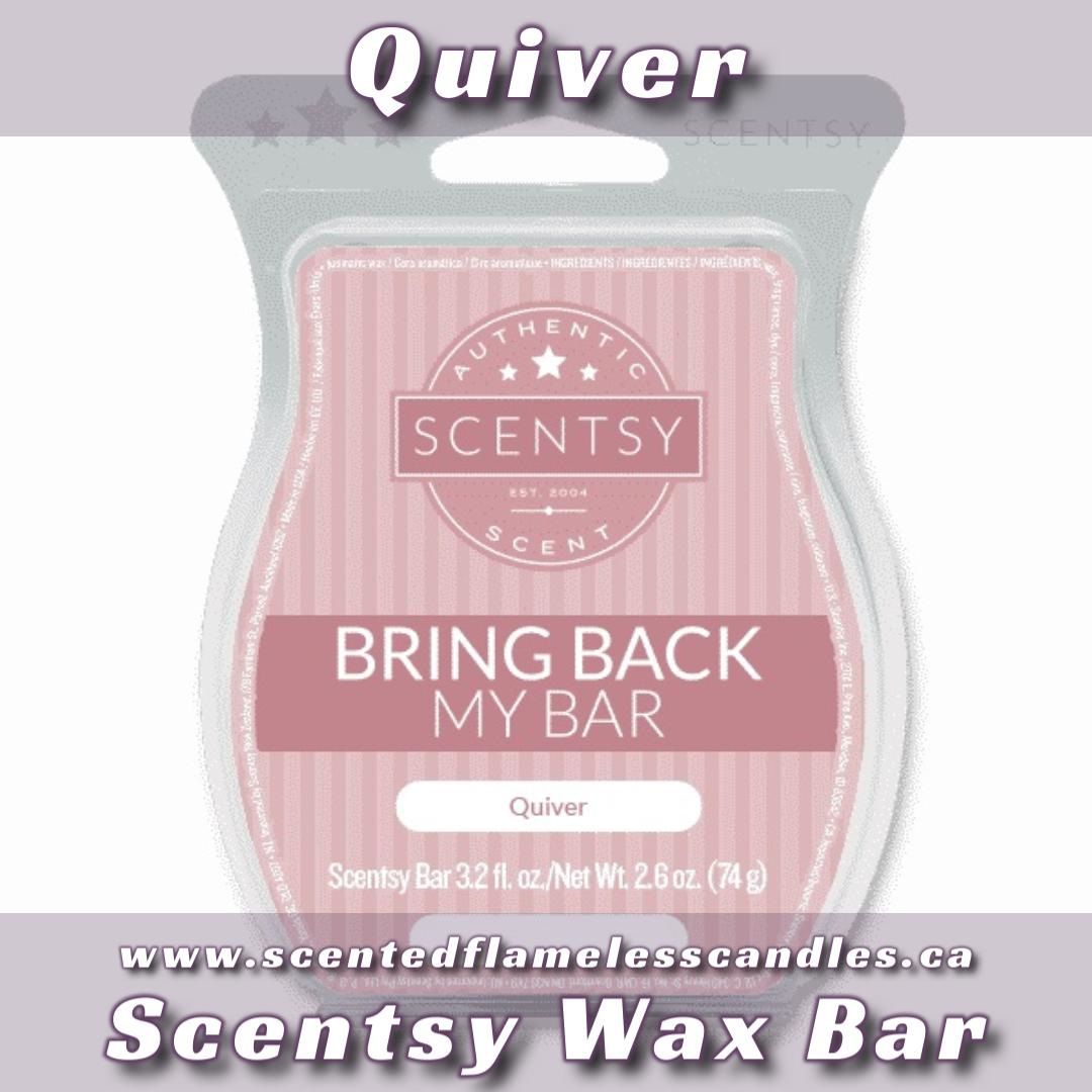 Quiver Scentsy Wax Bar
