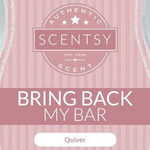 Quiver Scentsy Wax Bar Alt
