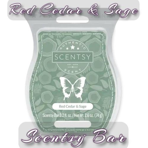 Red Cedar and Sage Scentsy Bar