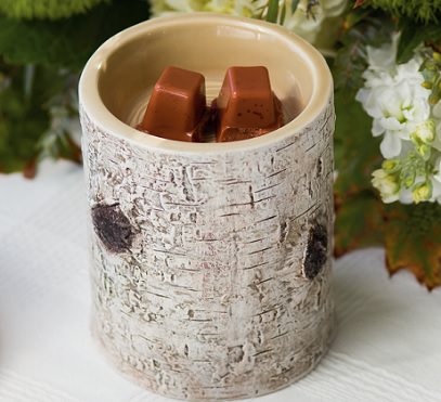 The Scentsy Warmer Of The Month For December 2014 - River Birch