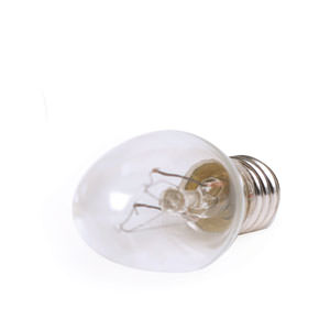 Scentsy 15 Watt Light Bulbs