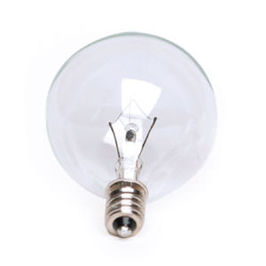 Scentsy 25 Watt Light Bulbs