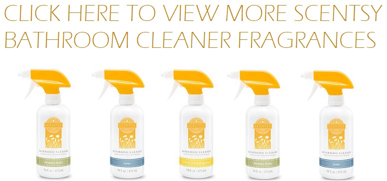 Scentsy Bathroom Cleaners