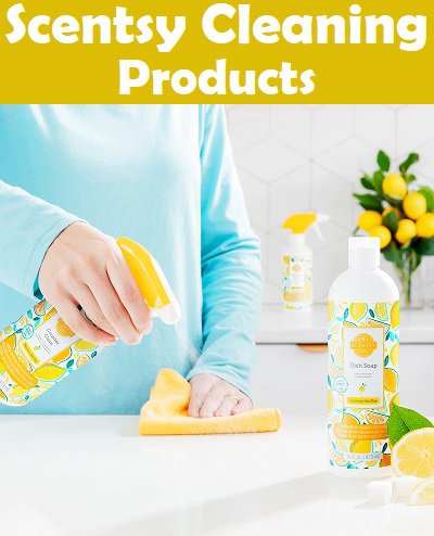 Shop Scentsy Cleaning Products