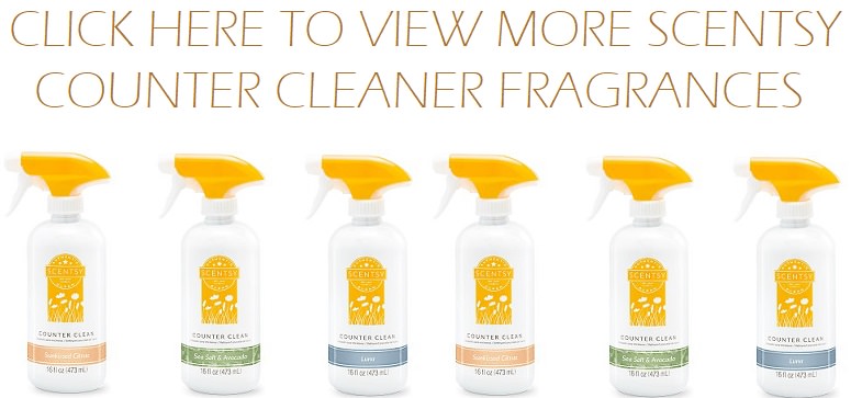 Scentsy Counter Cleaners