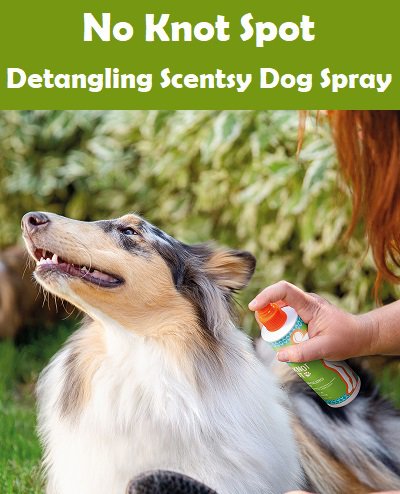 Scentsy Detangling Dog Spray