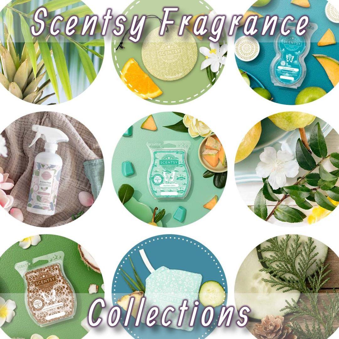 Scentsy Fragrance Collections
