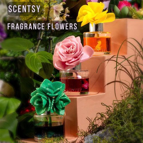 Order Scentsy Fragrance Flowers Online