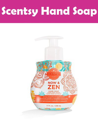 Scentsy Hand Soap