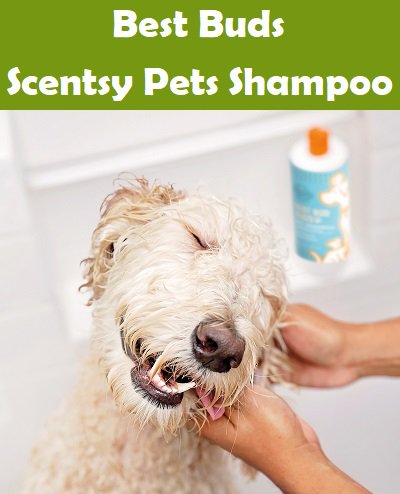 Scentsy Pets - Shampoo For Cats and Dogs