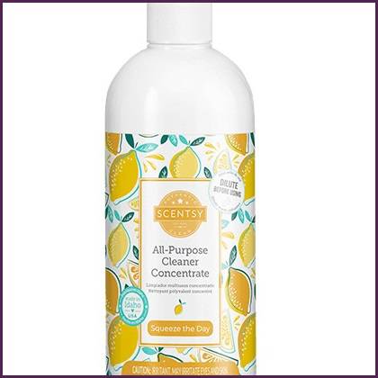 Squeeze The Day All-Purpose Scentsy Cleaner Stock Squeeze The Day All-Purpose Scentsy Cleaner Stock