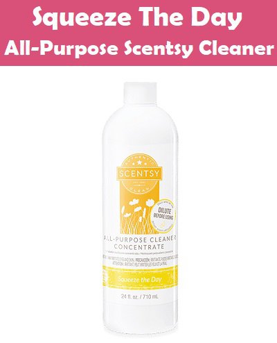 Squueze The Day All-Purpose Scentsy Cleaner