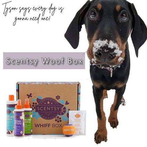 Scentsy Woof Box