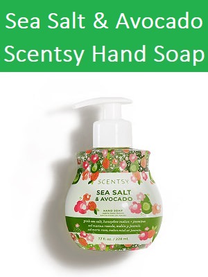Sea Salt and Avocado Scentsy Hand Soap